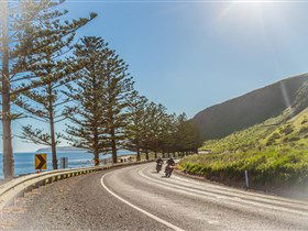 Lady Bay Beach - Accommodation Newcastle 2