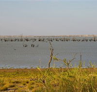 Lake Victoria - Accommodation Newcastle