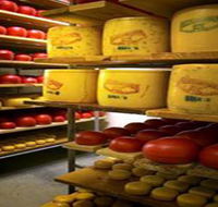 Alexandrina Cheese Company - Accommodation Newcastle