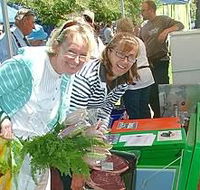 Victor Harbor Farmers Market - Accommodation Newcastle