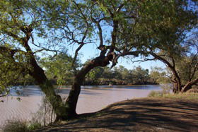 Charleville - Bakers Bend Warrego River Fishing Spot - Accommodation Newcastle 1