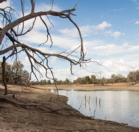 Toorale National Park - Accommodation Newcastle