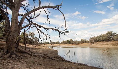 Toorale National Park - Accommodation Newcastle 0
