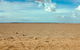 Toorale National Park - thumb 1