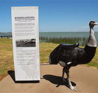 Birdman of the Coorong - Accommodation Newcastle