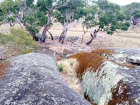 Tolmer Rocks - Accommodation Newcastle 1