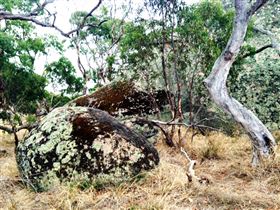 Tolmer Rocks - Accommodation Newcastle 2