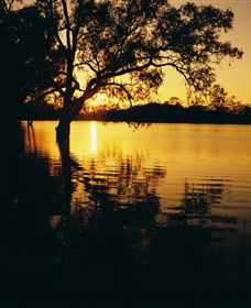 Hattah-Kulkyne National Park - Accommodation Newcastle 0