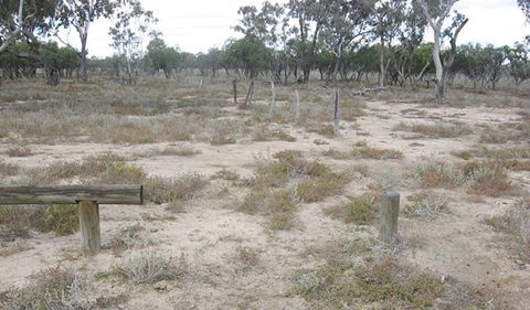 Culgoa Connellys Track - Accommodation Newcastle 0
