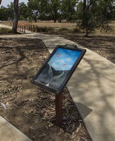 Wallam Creek, Bollon - Accommodation Newcastle 1