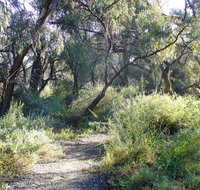 Nilla Yannagalang Billana - Accommodation Newcastle