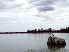 Theresa Creek Dam - Accommodation Newcastle 2