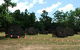 United Paintball - thumb 3