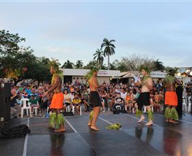 Darwin Community Arts - Accommodation Newcastle 0