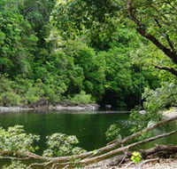 Broadwater Abergowrie State Forest - Accommodation Newcastle