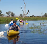 Marsh Meanders - Accommodation Newcastle