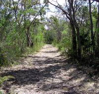 Lanky's Walk - Accommodation Newcastle