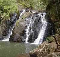 Pepina Falls - Accommodation Newcastle