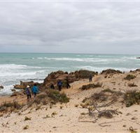 The Seaview Walking Trail - Accommodation Newcastle