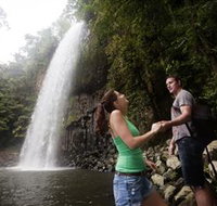 Millaa Millaa Falls - Accommodation Newcastle