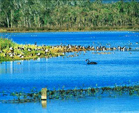 Hasties Swamp National Park - Accommodation Newcastle 0