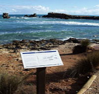 Cape Buffon Walking Trail - Accommodation Newcastle