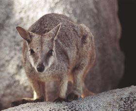 Arcadia At Magnetic Island - Accommodation Newcastle 2