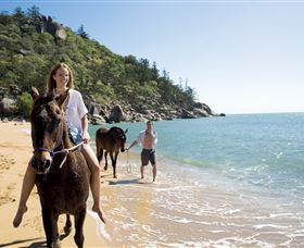 Horseshoe Bay - Accommodation Newcastle 1