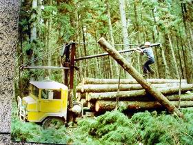 Nangwarry Forestry And Logging Museum - Accommodation Newcastle 3