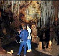 Tantanoola Caves Conservation Park - Accommodation Newcastle