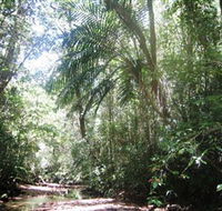 Mount Lewis National Park - Accommodation Newcastle