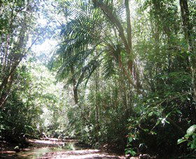 Mount Lewis National Park - Accommodation Newcastle 0