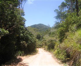 Mount Lewis National Park - Accommodation Newcastle 2