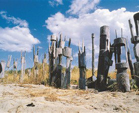 Tiwi Islands - Accommodation Newcastle 1