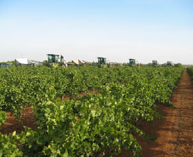 Warburn Estate - Accommodation Newcastle 1