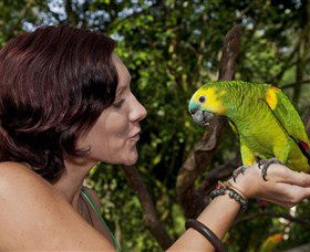 Birdworld Kuranda - Accommodation Newcastle 0