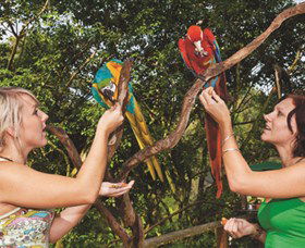 Birdworld Kuranda - Accommodation Newcastle 1