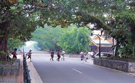 Kuranda - Village In The Rainforest - Accommodation Newcastle 1