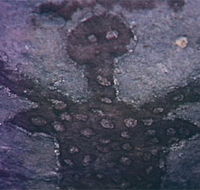 Quinkan Reserves Ancient Rock Art - Accommodation Newcastle