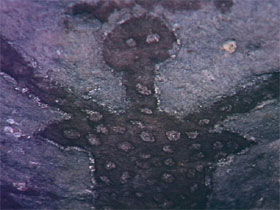 Quinkan Reserves Ancient Rock Art - Accommodation Newcastle 0