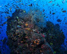 SS Yongala Dive Site - Accommodation Newcastle 1