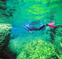 Piccaninnie Ponds Conservation Park - Accommodation Newcastle