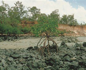 Garig Gunak Barlu National Park - Accommodation Newcastle 3