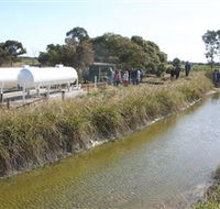 Cornalla Farm Tour - Accommodation Newcastle