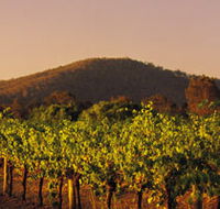 Taltarni Vineyards - Accommodation Newcastle