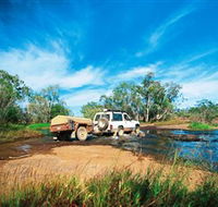 Rinyirru Lakefield National Park CYPAL - Accommodation Newcastle