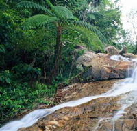 Finch Hatton Gorge - Accommodation Newcastle