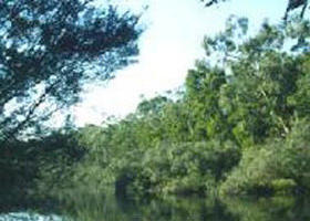 Crawford River Regional Park - Accommodation Newcastle 0