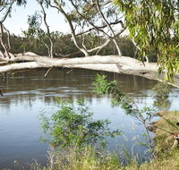 Murray Valley National Park - Accommodation Newcastle