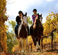 Billabong Ranch - Accommodation Newcastle